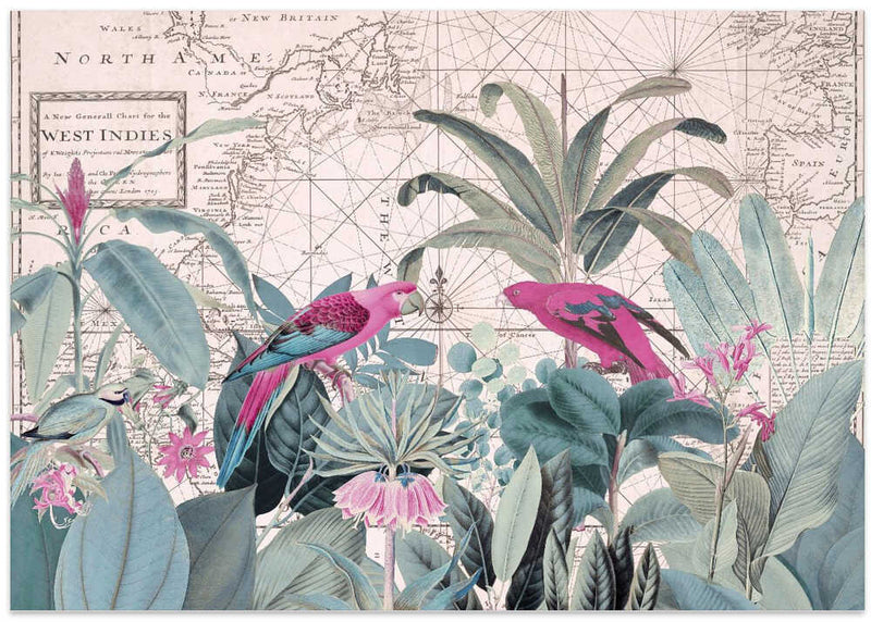 Exotic Wildlife 006 1