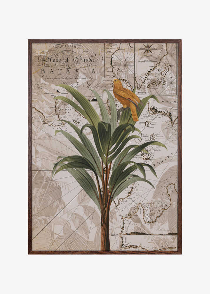 Indonesia Jungle Paradise No2