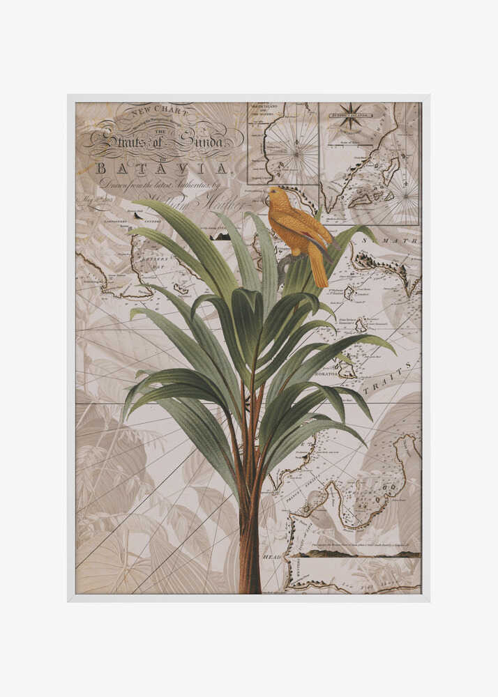 Indonesia Jungle Paradise No2