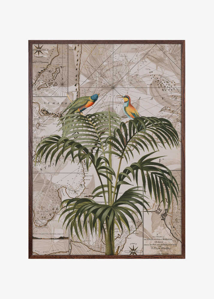 Indonesia Jungle Paradise No3