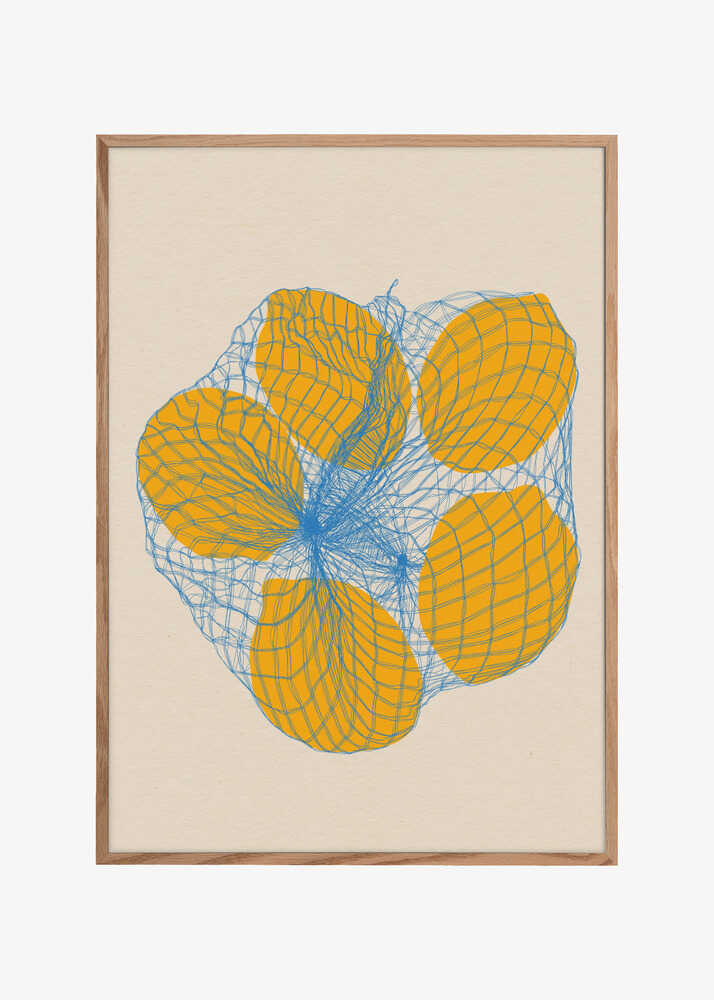 Five Lemons In a Net Bag