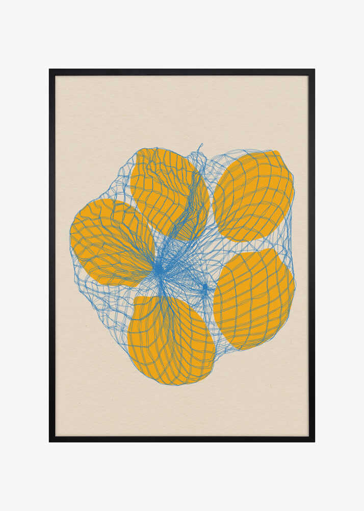 Five Lemons In a Net Bag