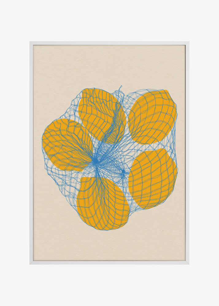 Five Lemons In a Net Bag