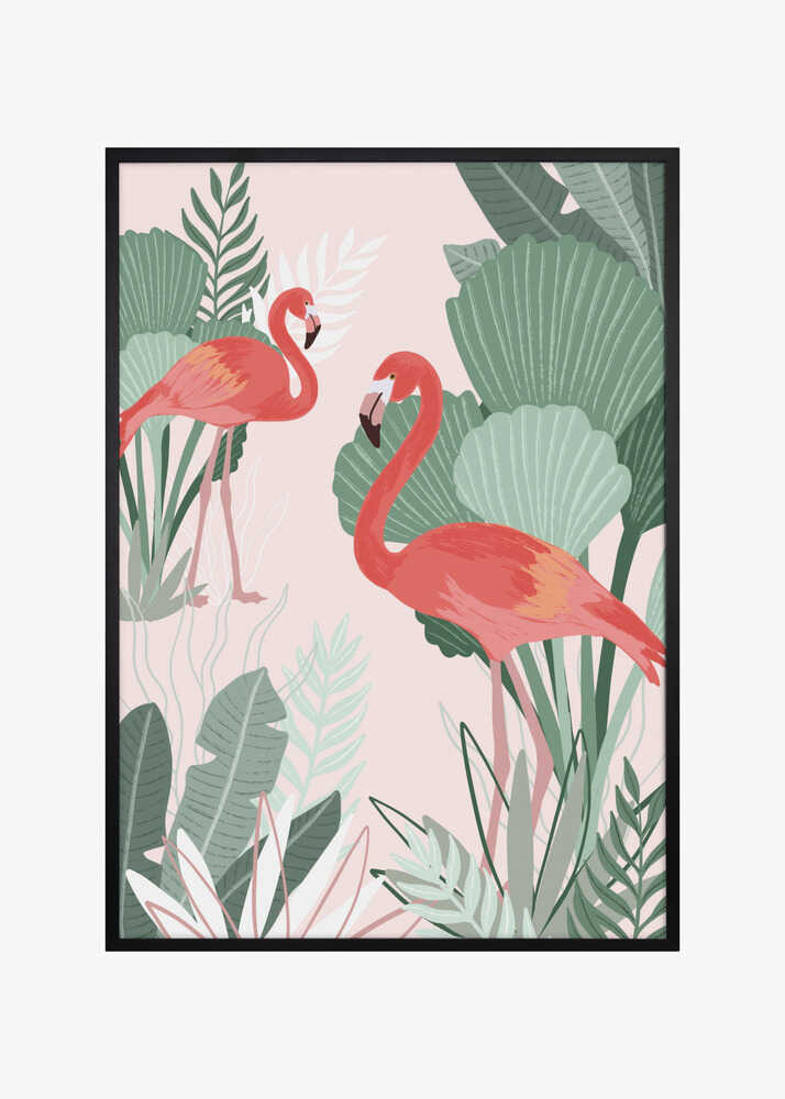 Flamingo Dreams