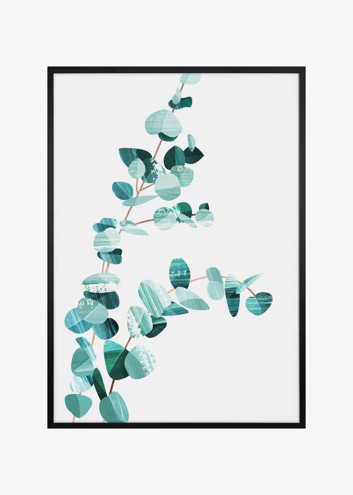 Eucalyptus II
