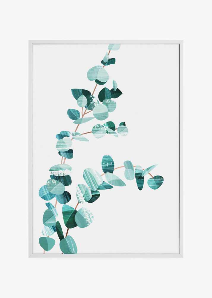 Eucalyptus II