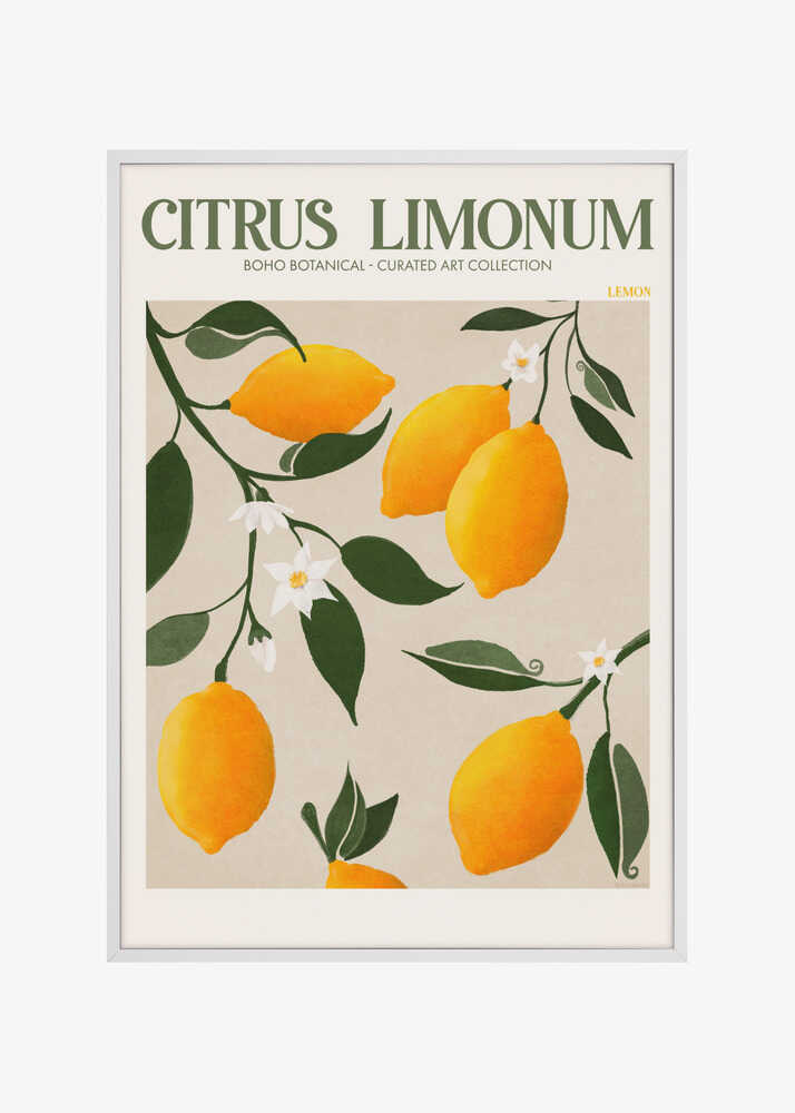 Golden Citrus Delight