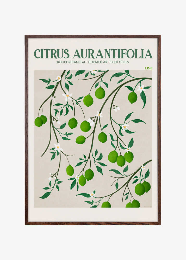 Botanical Lime Bliss