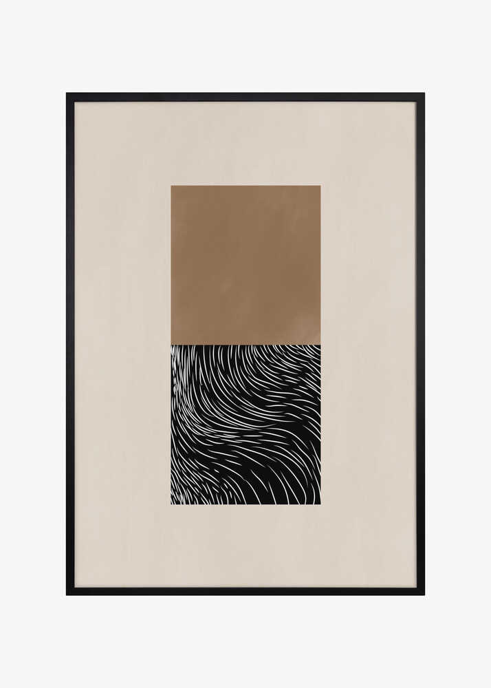 Geometric and Organic Shapes