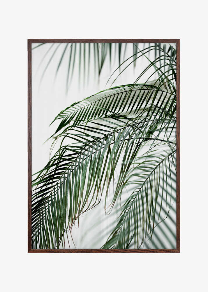 Palm Leaves 21