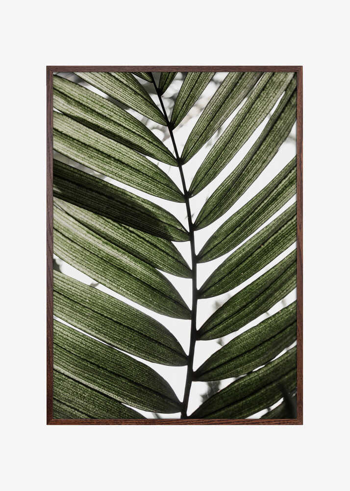 Palm Leaves 24
