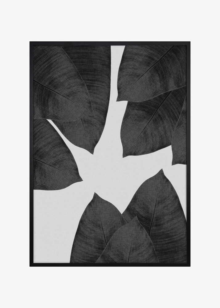 Banana Leaf Black & White I