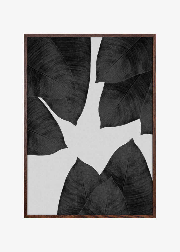 Banana Leaf Black & White I