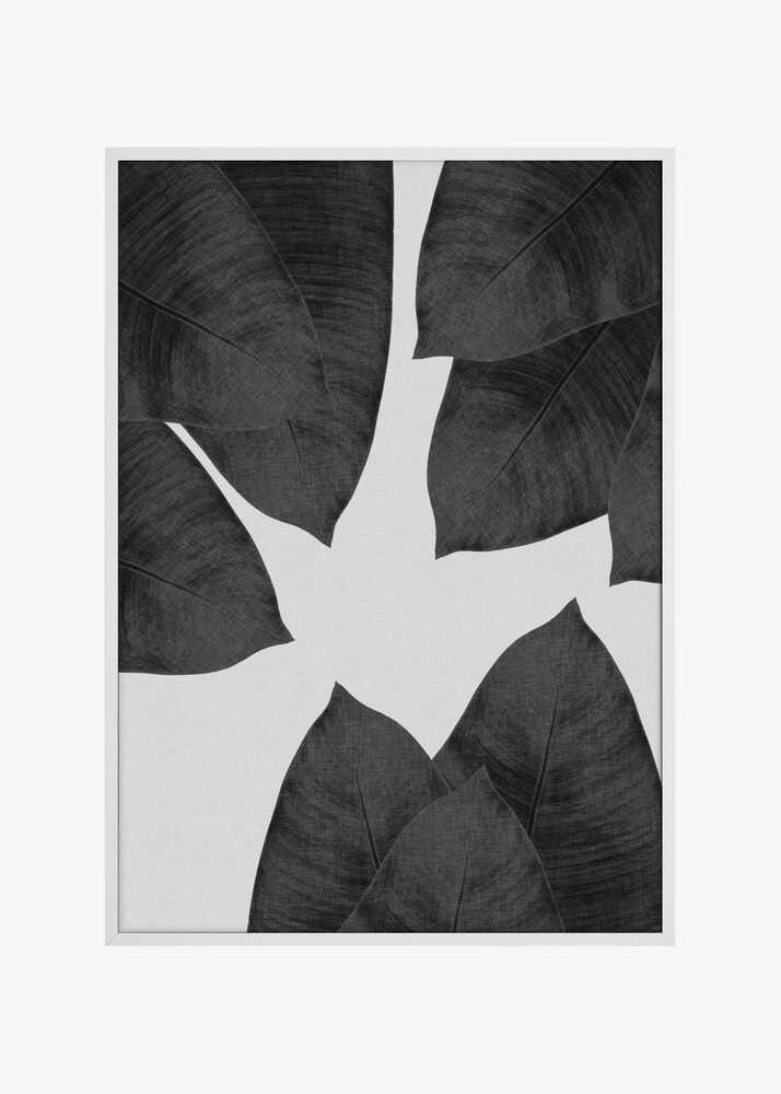 Banana Leaf Black & White I