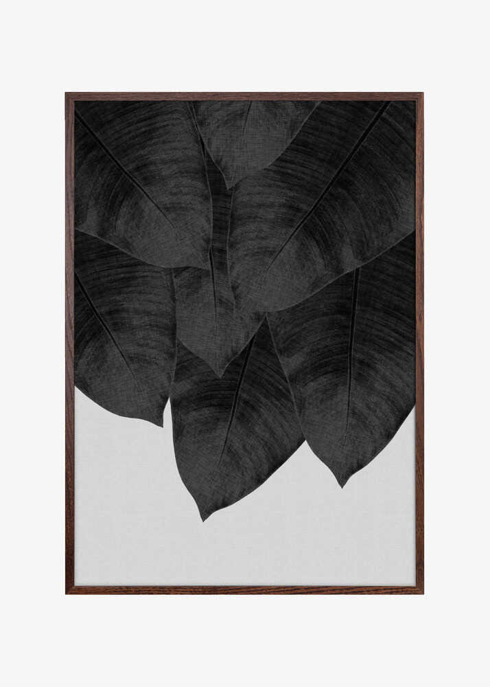 Banana Leaf Black &amp; White III