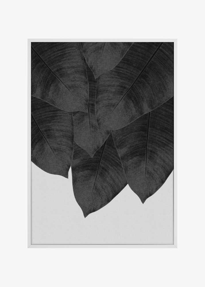 Banana Leaf Black &amp; White III