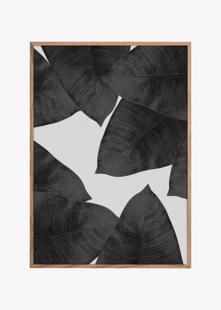 Banana Leaf Black &amp; White II