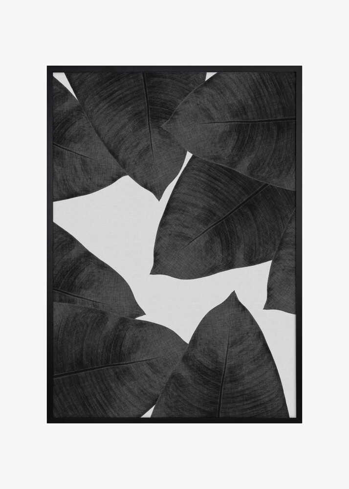 Banana Leaf Black &amp; White II