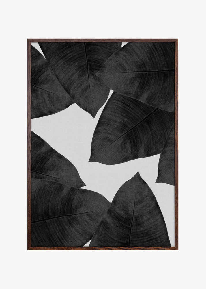 Banana Leaf Black &amp; White II