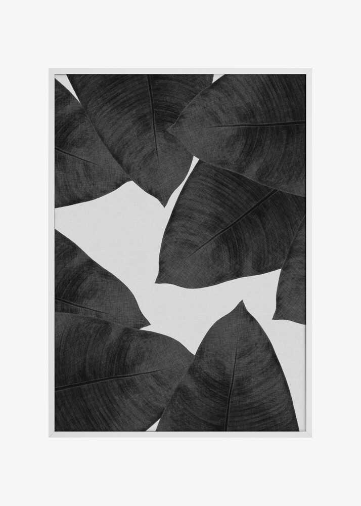 Banana Leaf Black &amp; White II