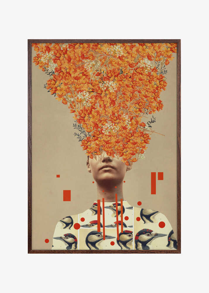 Bird Flight In Autumn