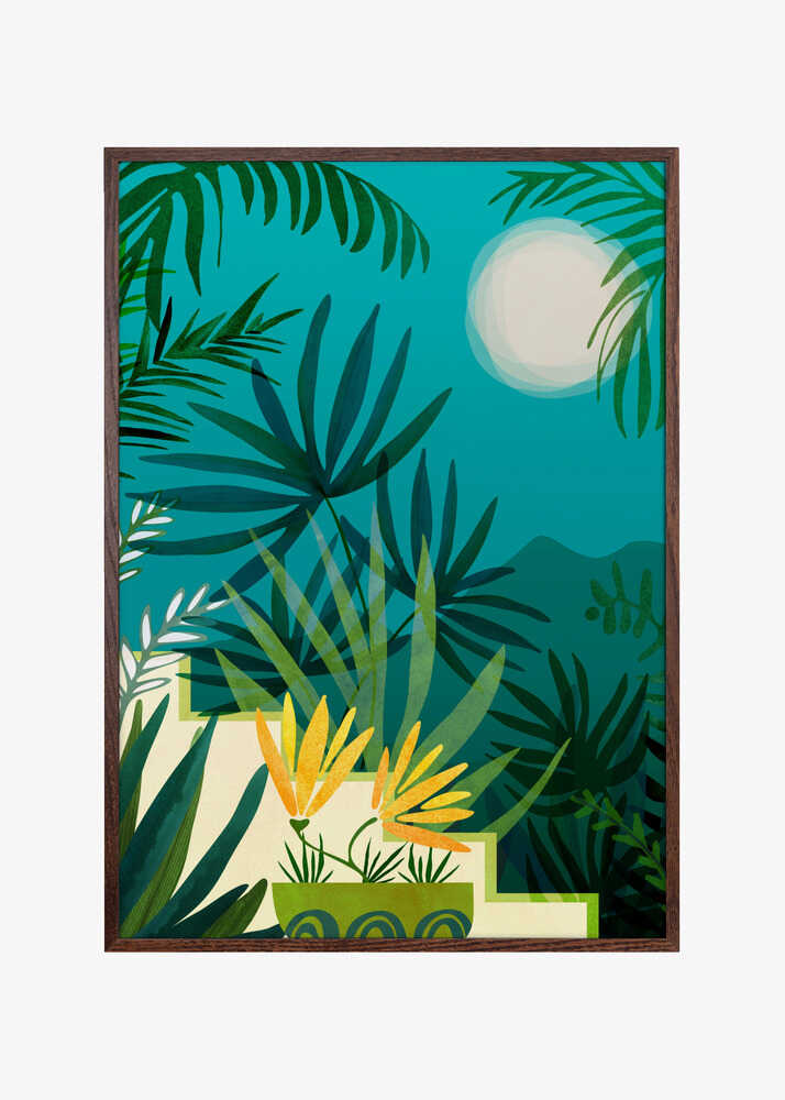 Rainforest With Moonlight