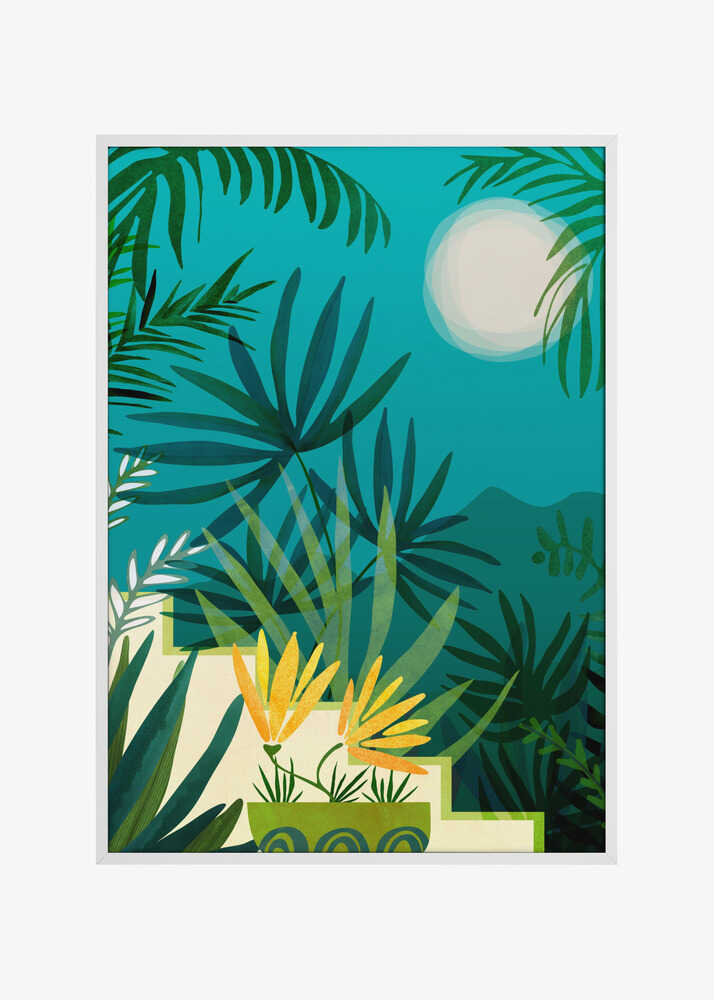 Rainforest With Moonlight