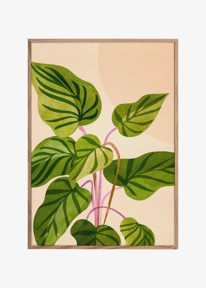 Thriving In the Sun V2