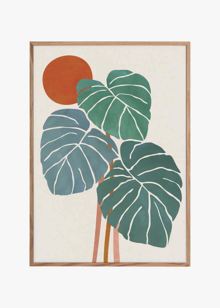 Monstera and Sunshine