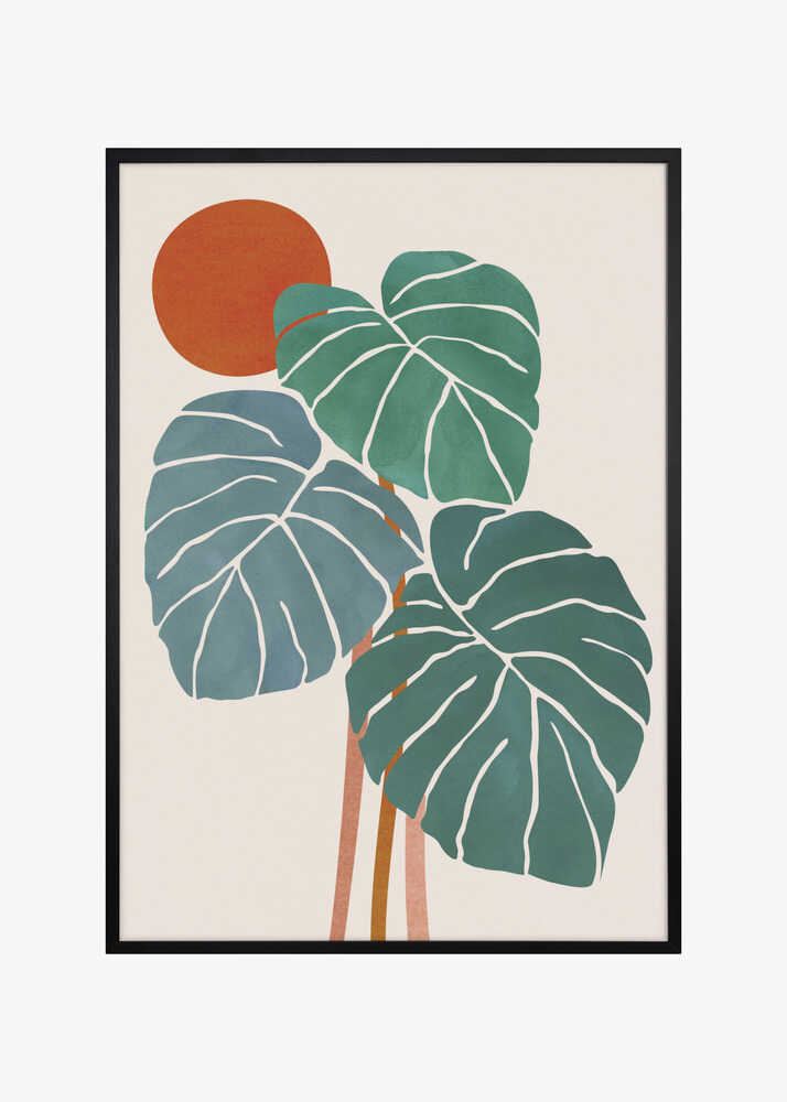 Monstera and Sunshine