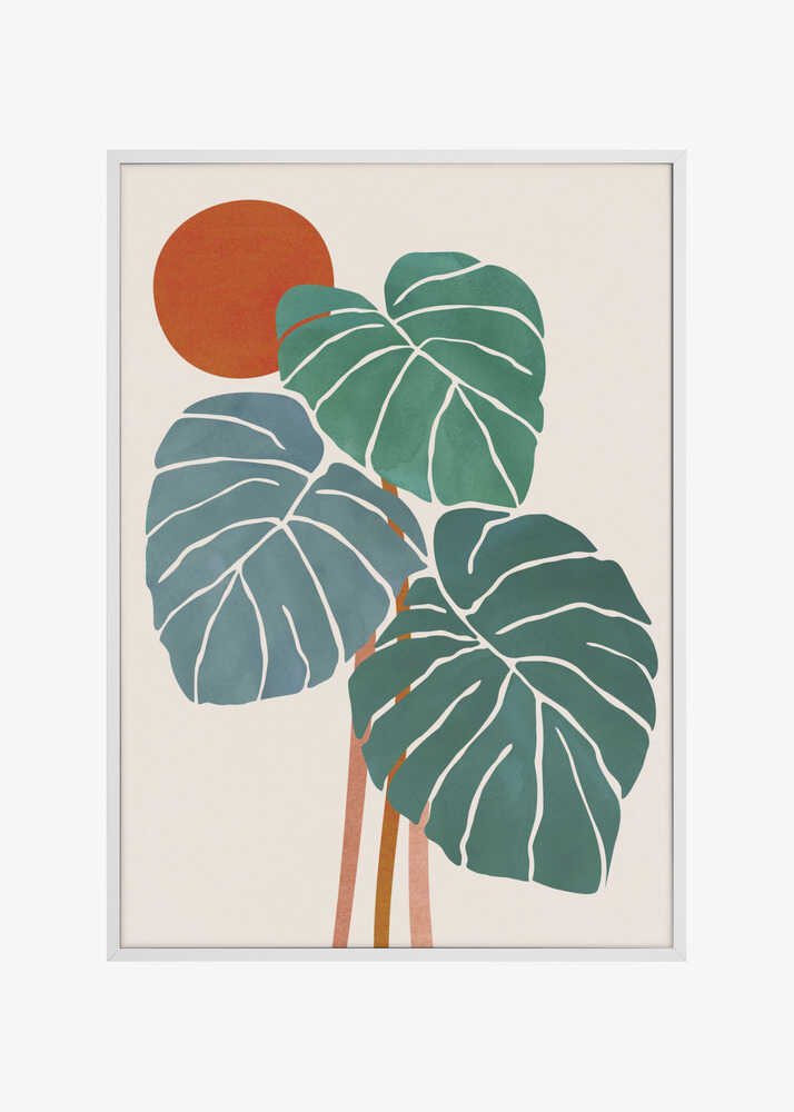 Monstera and Sunshine