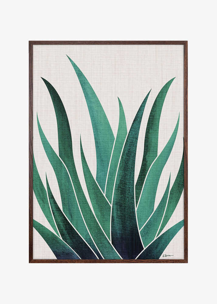 Desert Agave 2