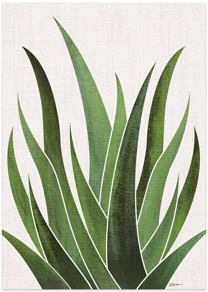 Desert Agave 5