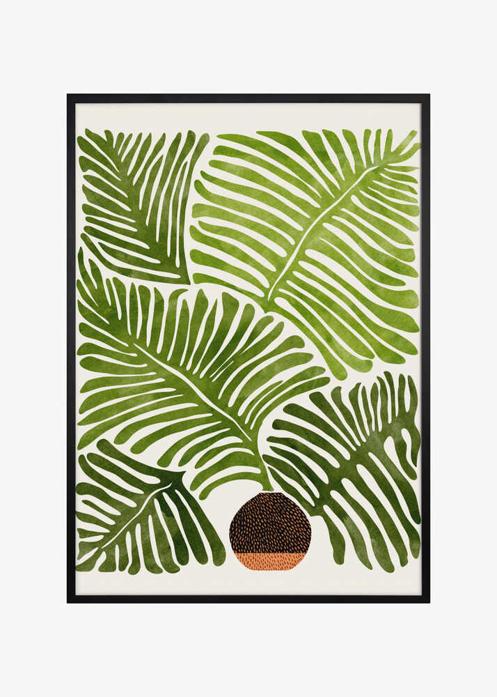 Summer Fern 4x5