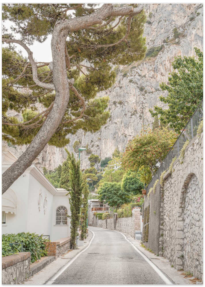 Streets of Capri