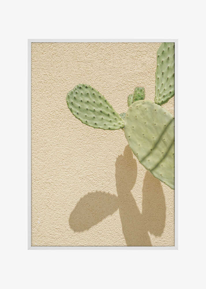 Cacti Shadowplay