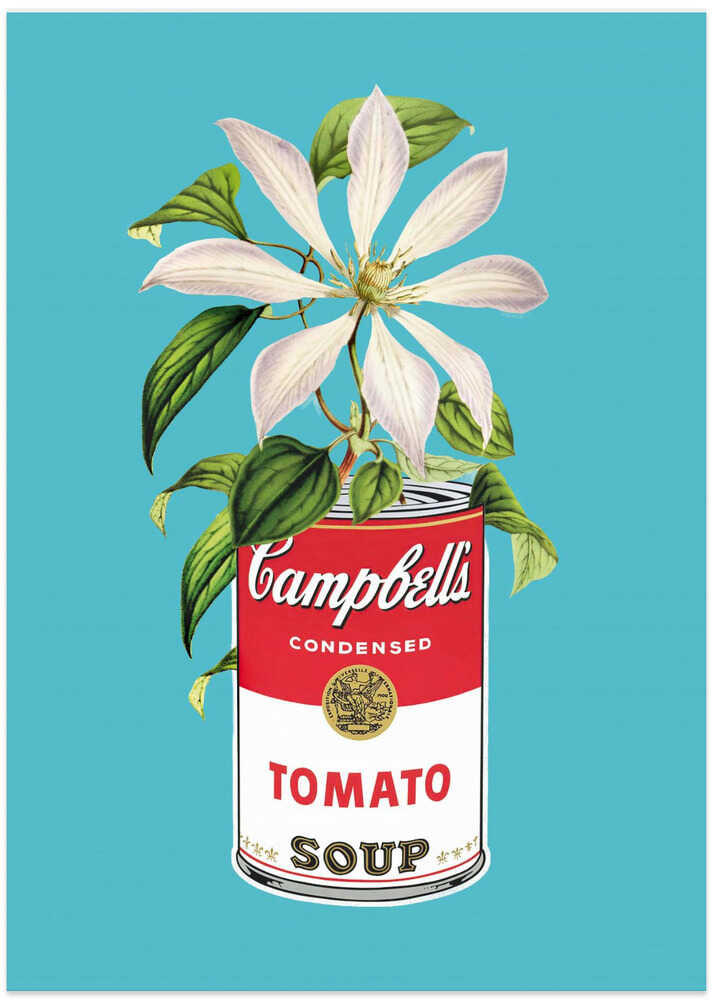 Campbells and Flowers