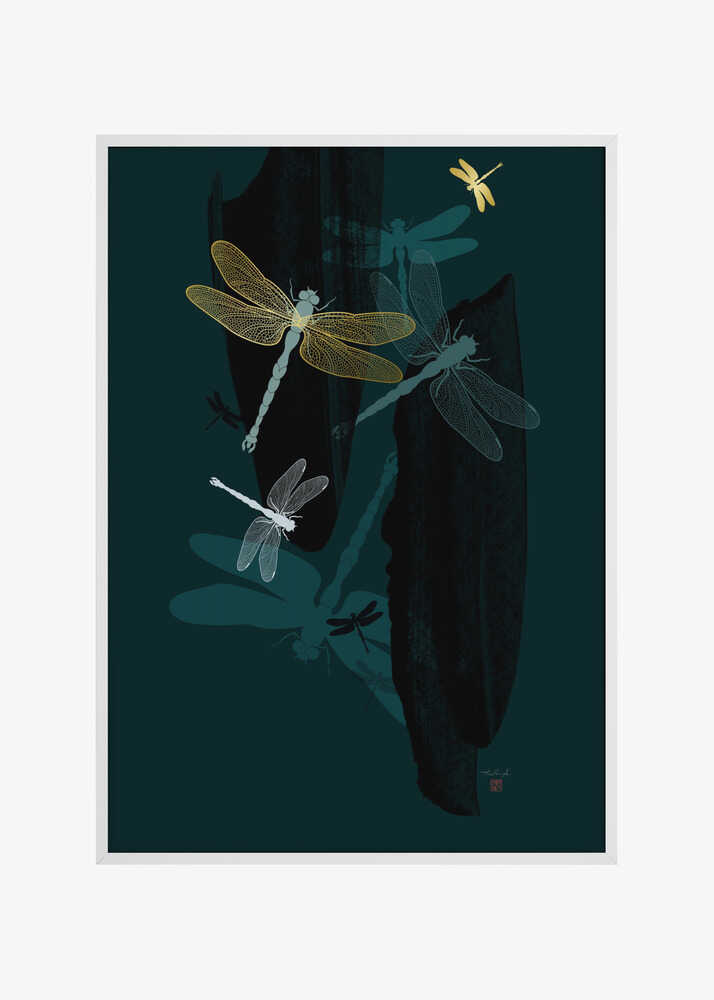 Midnight Dragonflies