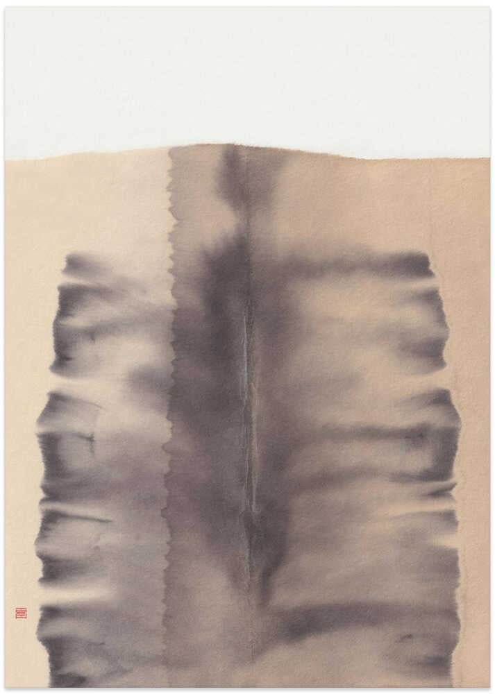 Study N°2 | Medulla