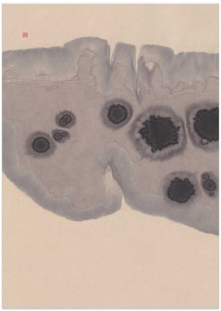 Study N°7 | Epidermis