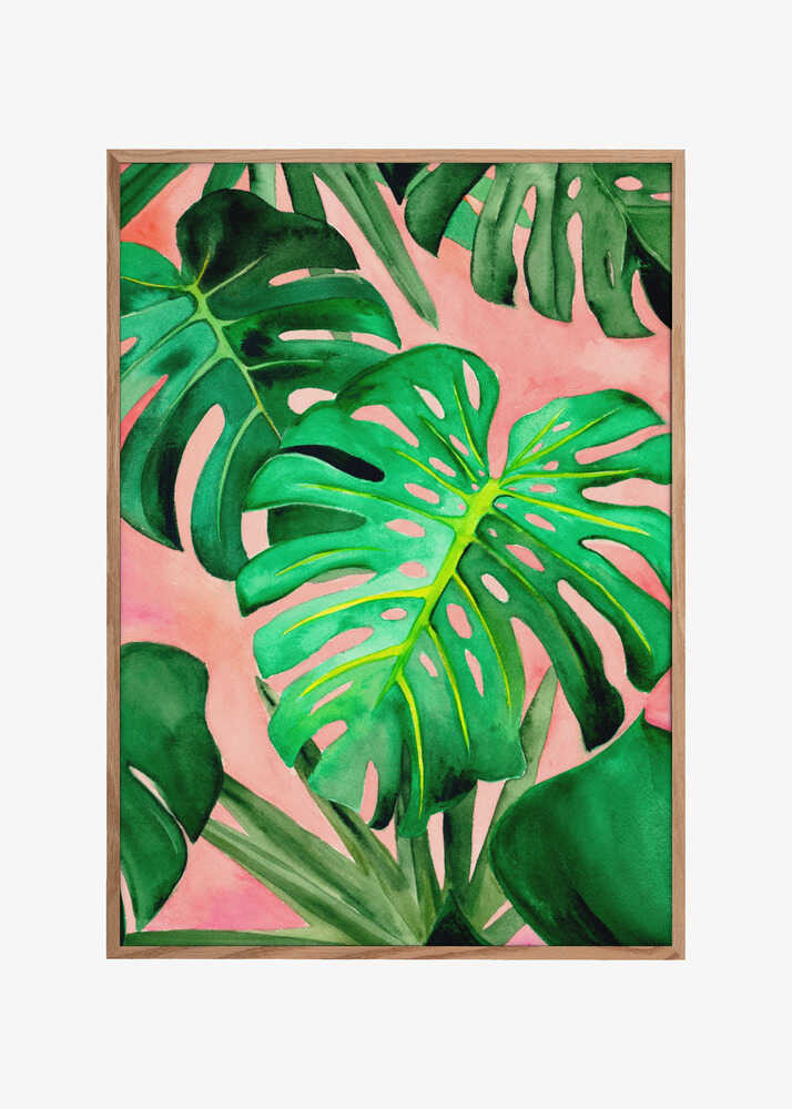 Monstera Large