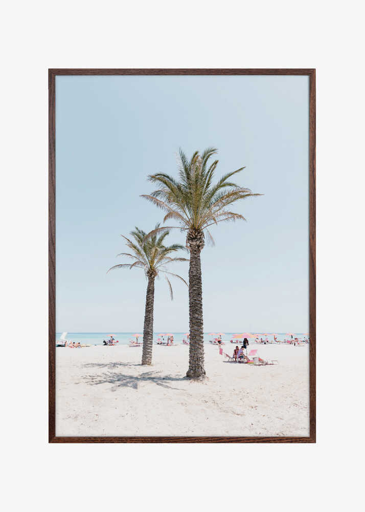 Palm tree at the beach