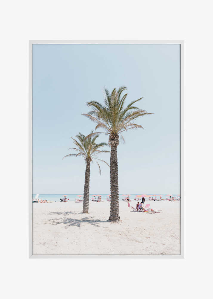 Palm tree at the beach