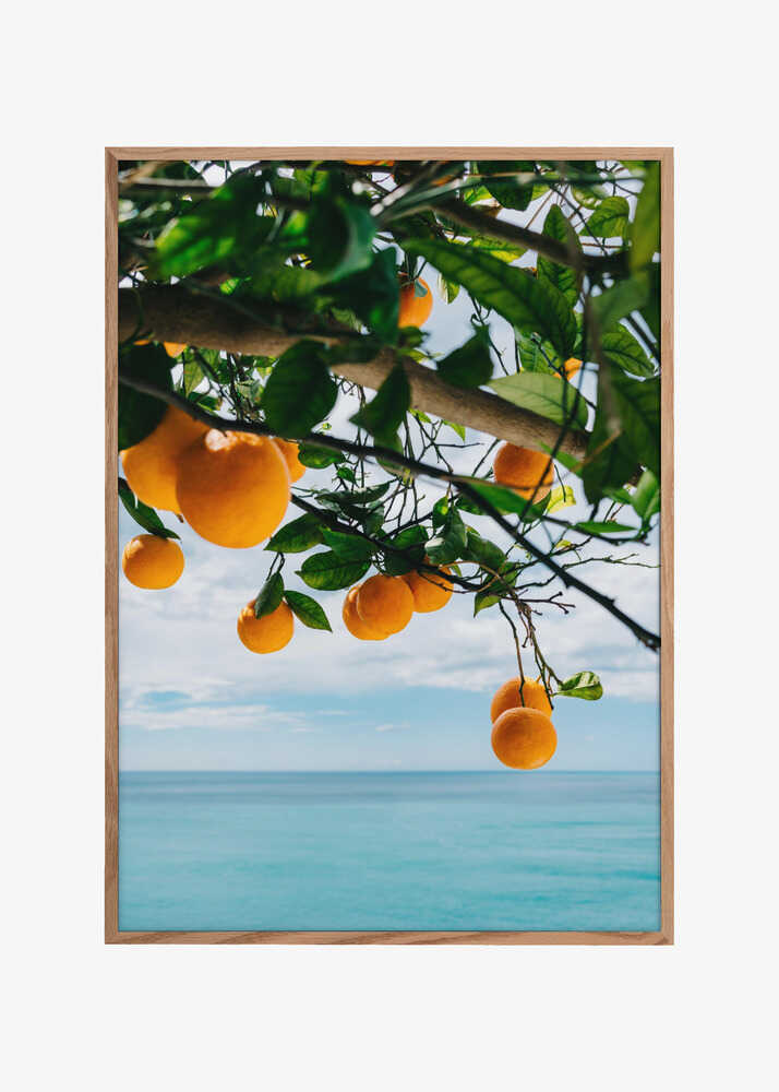 Amalfi Coast Oranges IV