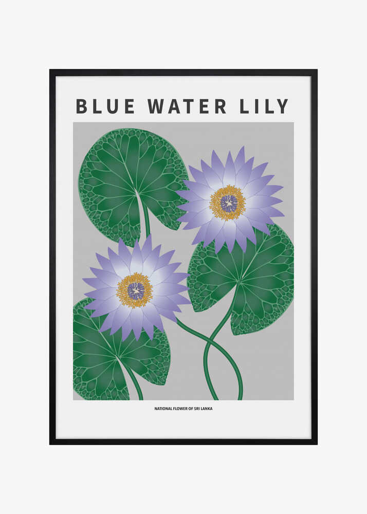 Blue Water Lily - National flower of Sri Lanka