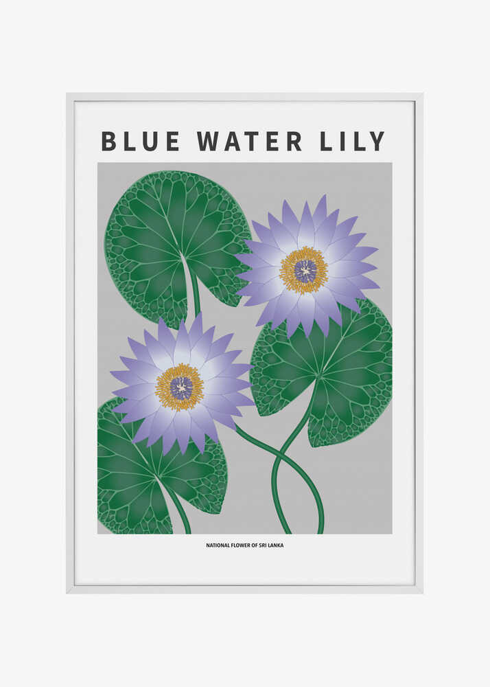 Blue Water Lily - National flower of Sri Lanka