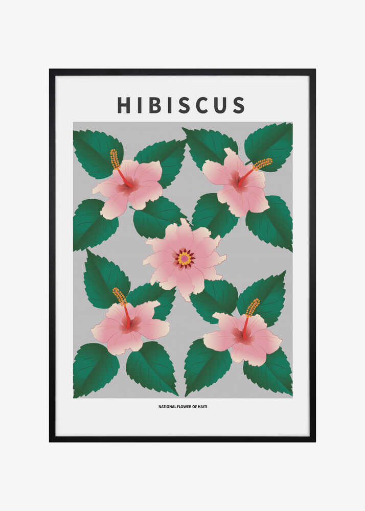 Hibiscus  - National flower of Haiti