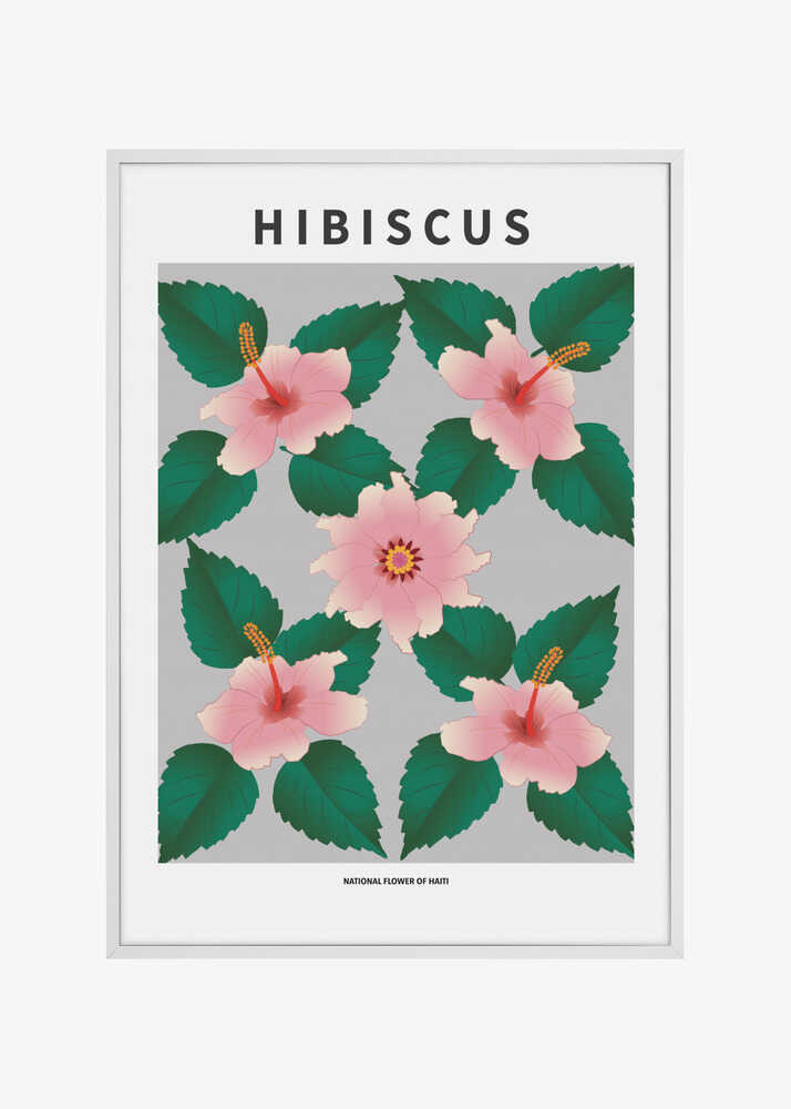 Hibiscus  - National flower of Haiti