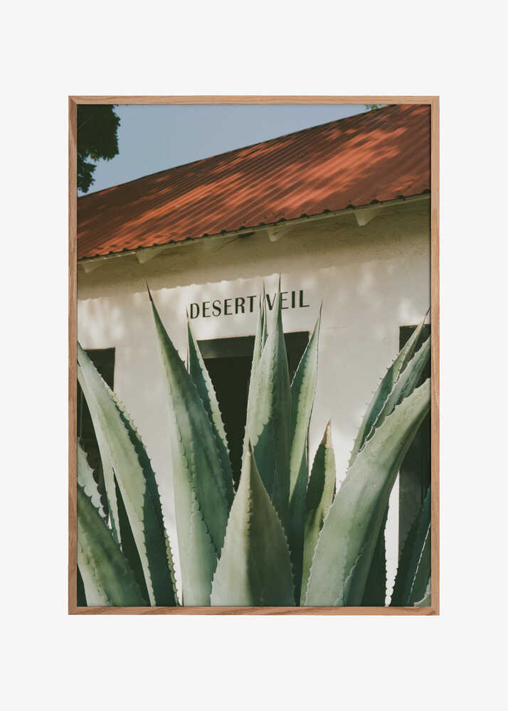 Desert Veil