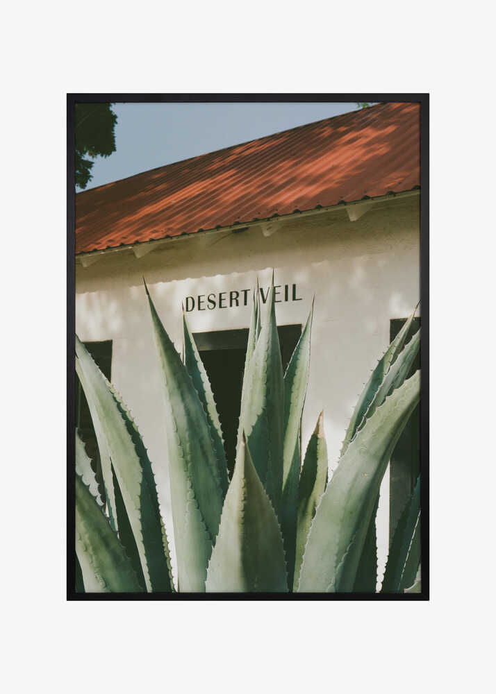 Desert Veil